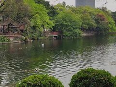 -荔湾湖公园