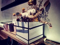 -野鸽子咖啡(中航店)