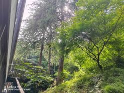 -尚圣月子会所·庄园式月子中心(萧山湘湖店)