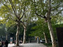 -西湖天地