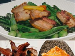 -侨美·唐荔园·40年地道粤菜