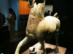 -广西壮族自治区博物馆