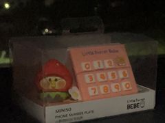 -保利·诺丁山