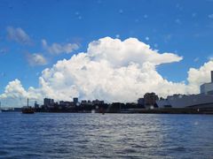 -白天鹅宾馆·流浮阁咖啡厅