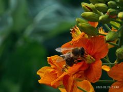 -中国天府农业博览园