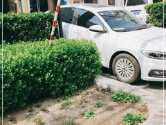 -左陕右甘(亚运村店)