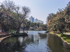 -晓港公园