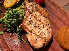 -Oasis Bar & Grill