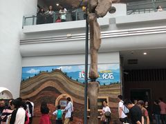 -自贡恐龙博物馆