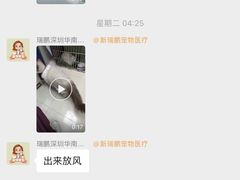 -瑞鹏宠物医院华南总院·夜诊·心脏科·骨科