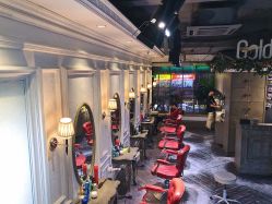 点击看大图 -金棕榈