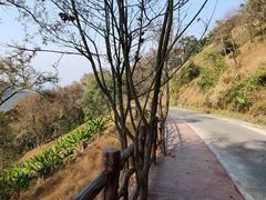 -广州市石门国家森林公园
