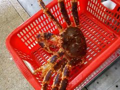 -蚝专家(北滘店)