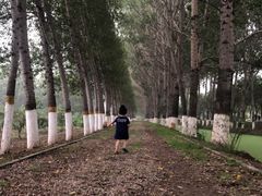 -东郊湿地公园