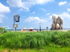 -青岛石老人海水浴场