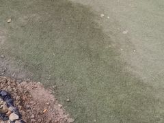 -三圣花乡旅游区