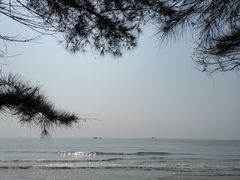 -江山半岛白浪滩景区