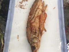 -燕北云山·农家菜·灶台鱼(密云溪翁庄店)