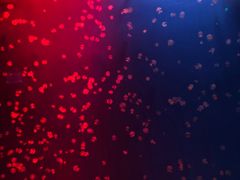 -福州罗源湾海洋世界旅游区