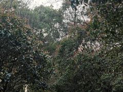 -狼山风景名胜区