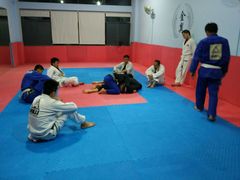 android_upload_pic-金翼跆拳道巴西柔术拳击格斗学院