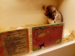 -龙猫仔乐园(惠福东路店)