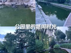 -三里河公园