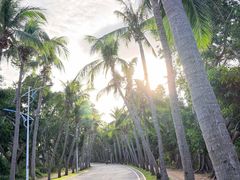 -亚龙湾中心广场