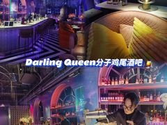 -Darling Queen·Mini·Live·House