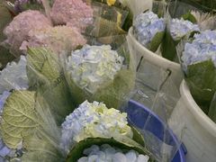 -双季花艺园艺市场(浦东店)