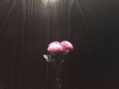 -上海璞麗酒店