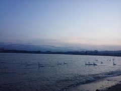 -烟墩角天鹅湖