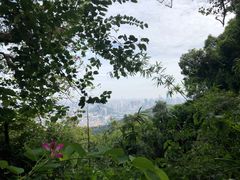 -广州市白云山风景名胜区