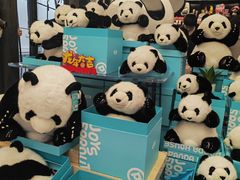 -熊猫屋(宽窄巷子景区店)