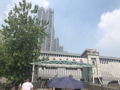 -武汉关码头(轮渡站)