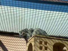-青藏高原野生动物园