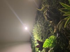 -康道天地(九六广场店)