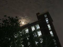 -山东外贸职业学院