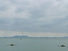 -贡湖湾湿地公园