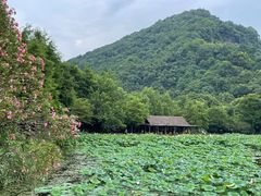-八卦田遗址公园
