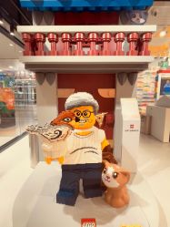 -乐高授权专卖店(西单大悦城店)