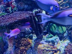 -新疆天山野生动物园