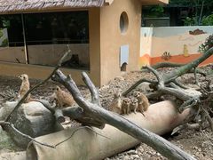 -杭州少年儿童公园
