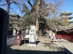 iphone_upload_pic-少林寺景区