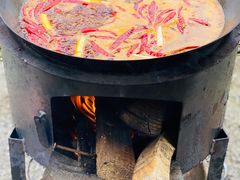 -武陵山森林公园