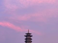 -洋湖国家湿地公园