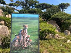 -罗红摄影艺术馆