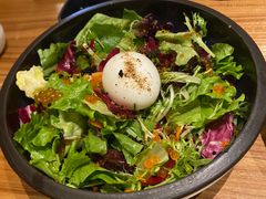 -Hatsune隐泉日式料理(SKP店)