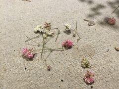 竹吟山房-竹吟山房