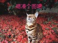 -老班长手工灌汤包老店(东山店)